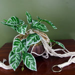 85cm Hanging Artificial Potted Pothos Plant With Planter