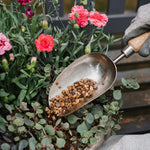 Stainless Steel Potting Scoop With Ash Wood Handle