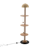 2-in-1 Cat Climbing Frame Floor Lamp