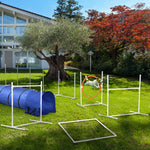 Six-piece Dog Agility Equipment Set W/ Carry Bag
