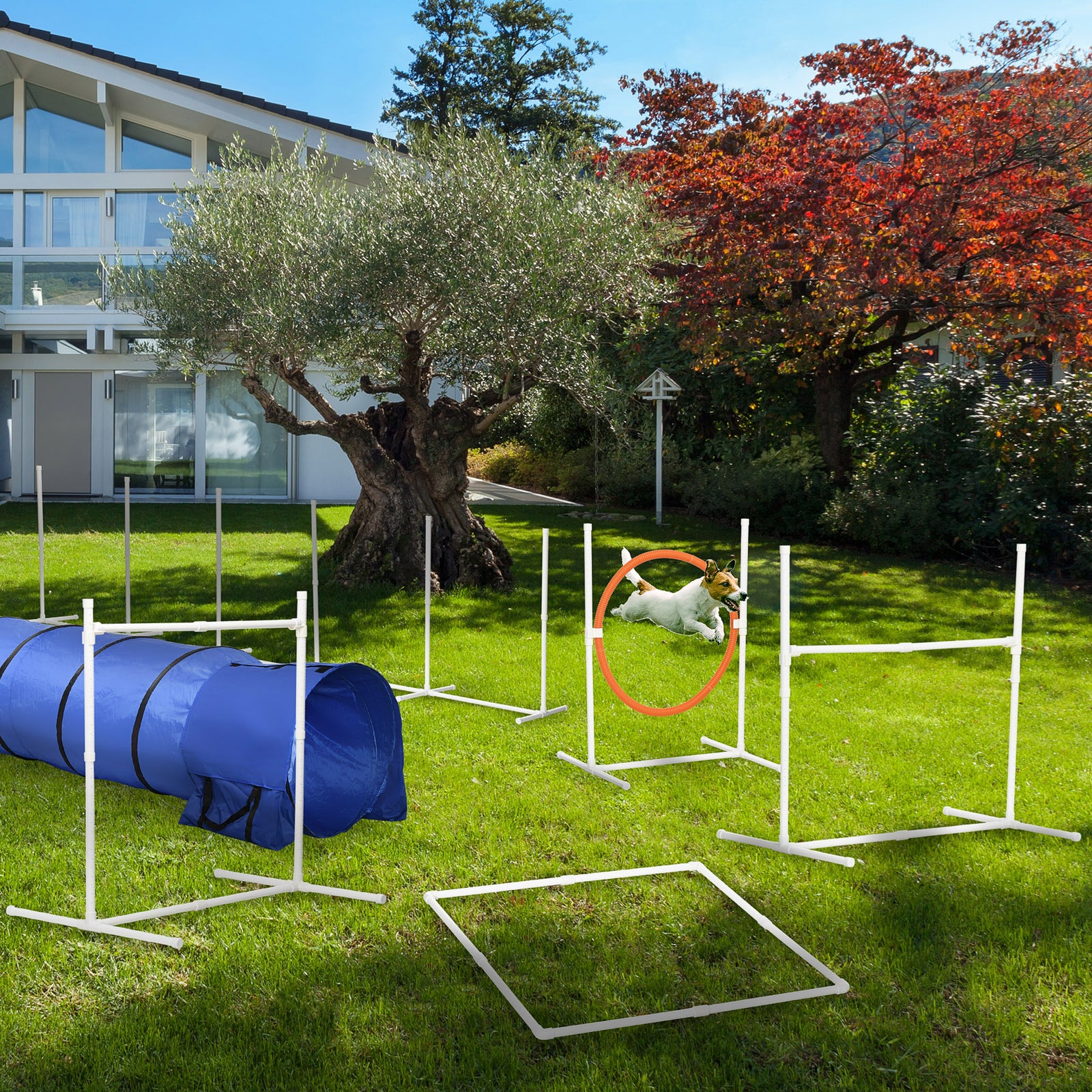 Six-piece Dog Agility Equipment Set W/ Carry Bag