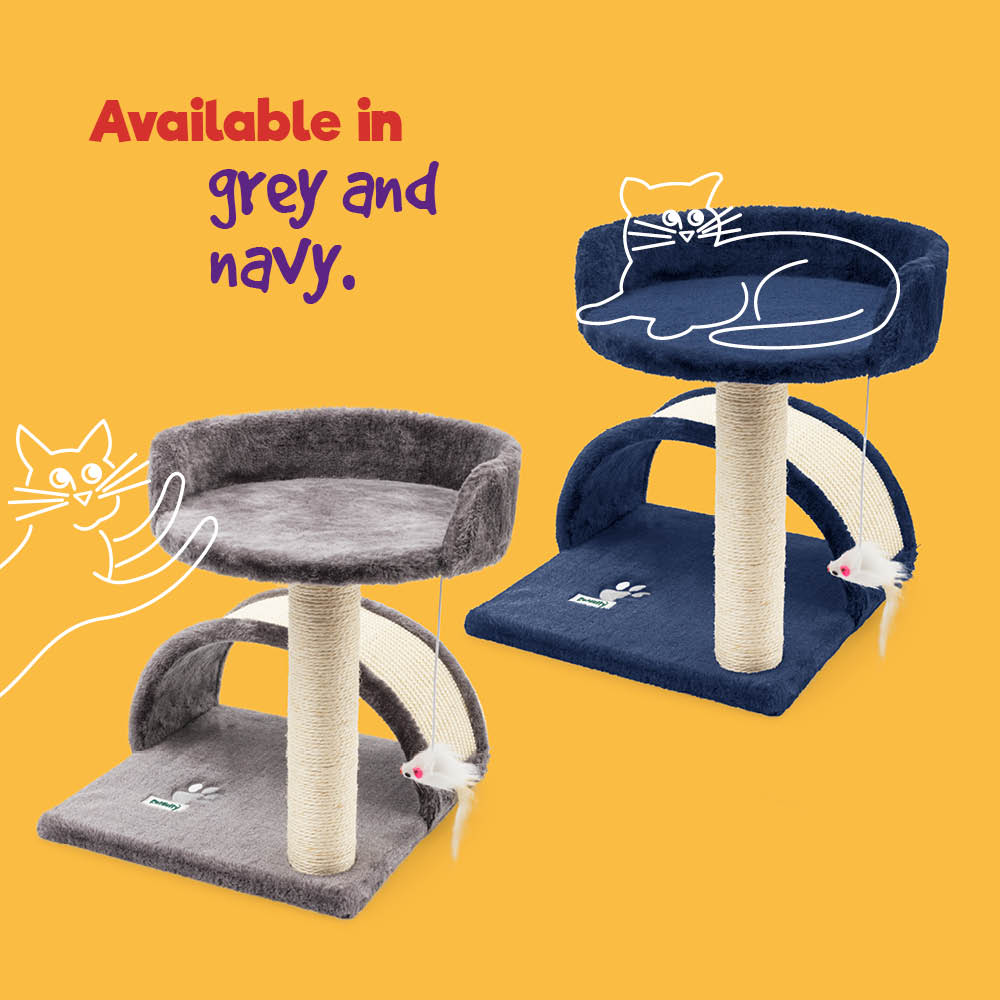 Cat Bed With Sisal Scratch Post Navy Carpeted Pet Resting Bed | One Size | Navy Blue