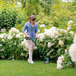 18V Cordless Grass Trimmer EasyGrassCut 26