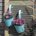 The Tireless Dianthus Diantica Collection - Plug Plants | Set-of-3 | Multi