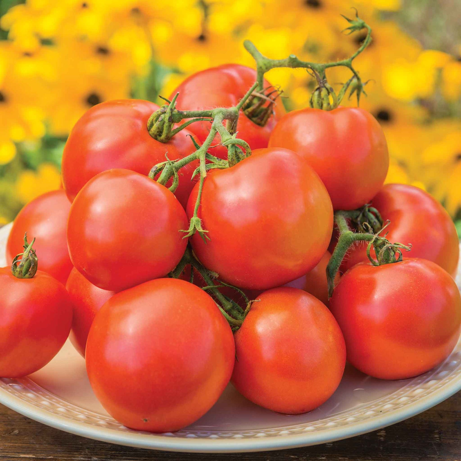 Tomato 'oh Happy Day' — Classic Beefsteak Seeds | 10 Seeds