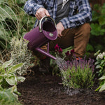 Galvanised Steel Watering Can | Midnight Blue