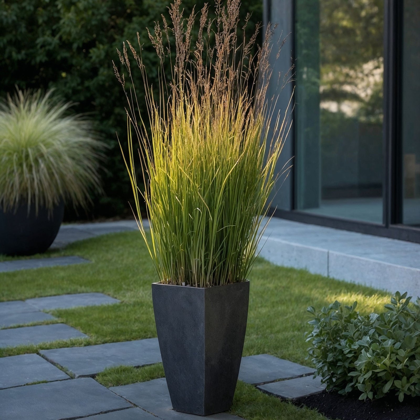 Switch Grass - Panicum Virgatum 'heavy Metal' - Height 40-60cm - ⌀23cm | Set-of-1 | Green