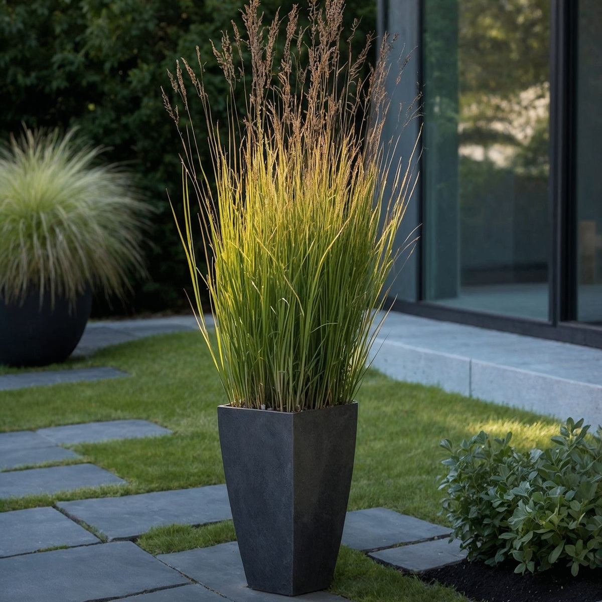 Switch Grass - Panicum Virgatum 'heavy Metal' - Height 40-60cm - ⌀23cm | Set of 1 | Green