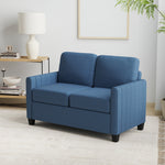 Modern 2 Seater Sofa With Spring Cushion, Back Pillow | Blue