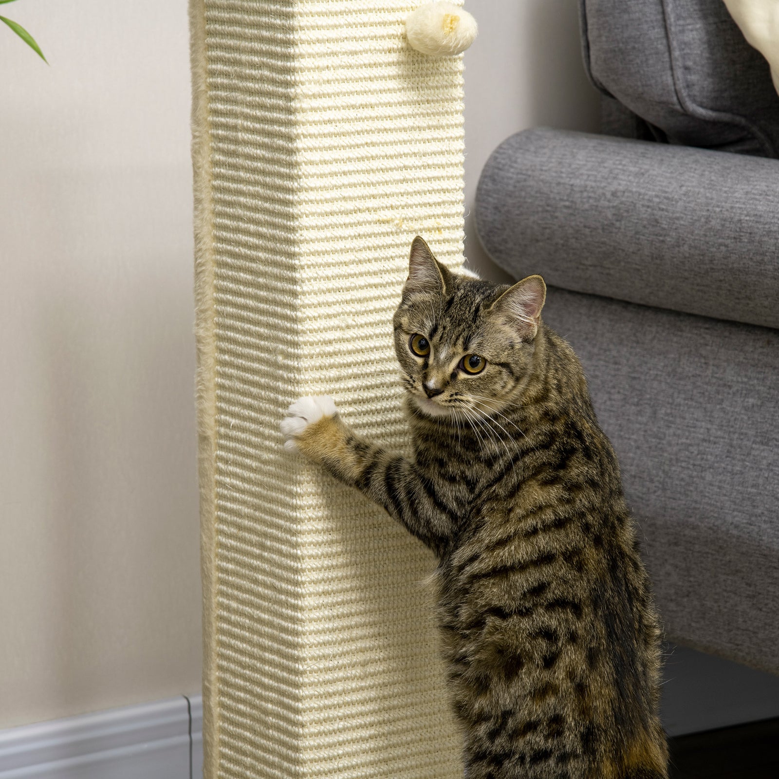80cm Sisal Rope Scratching Post, Cat Scratching Post - White