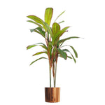 Artificial 100cm Potted Dracaena Tropical Plant Copper Metal Plater