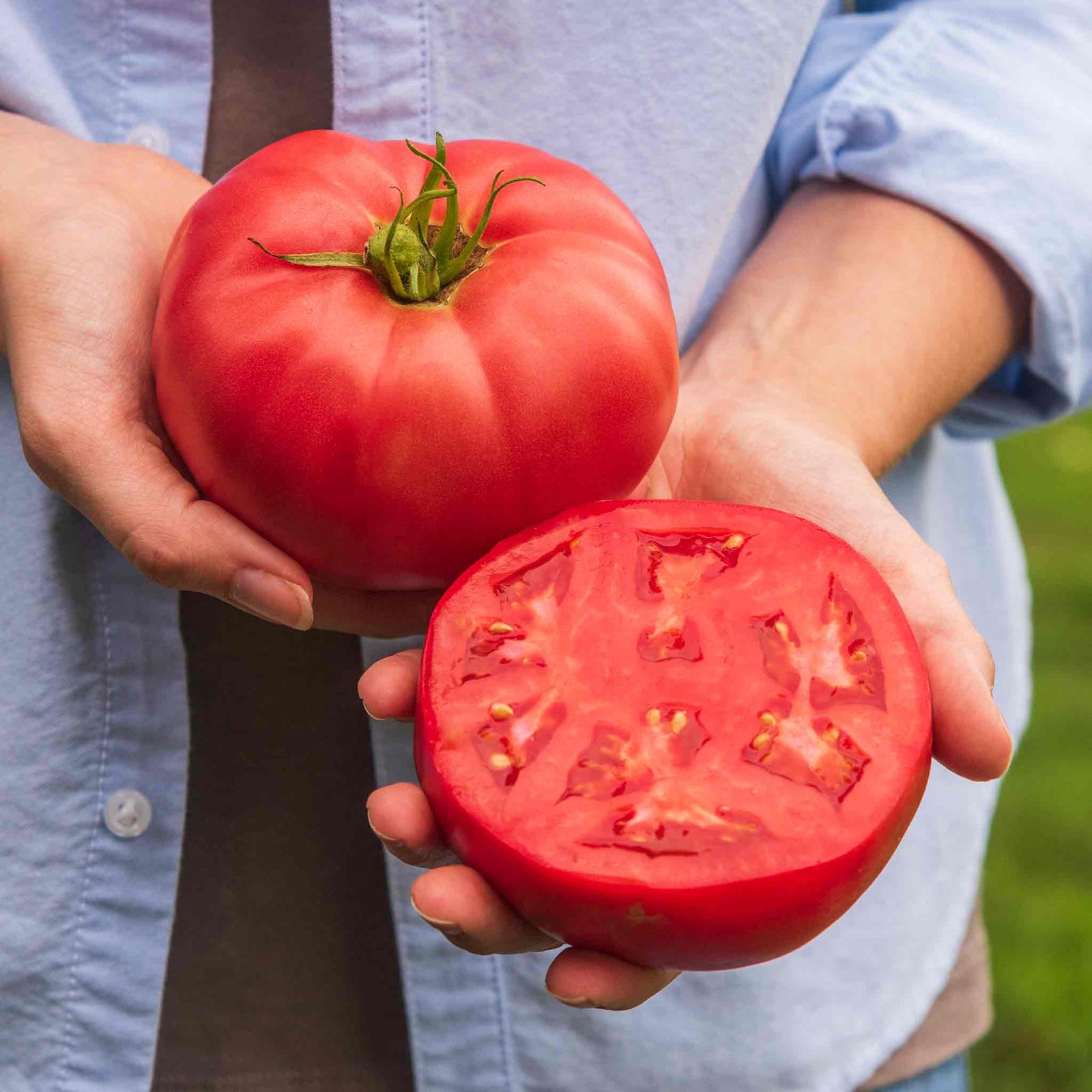 Rose Crush Tomato Seeds | 10 Seeds