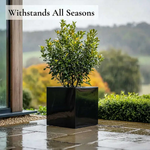 Zinc Galvanised Square Planter | 40cm x 40cm x 40cm | Black Gloss