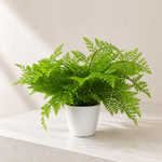 30cm Artificial Potted Southern Wood Fern