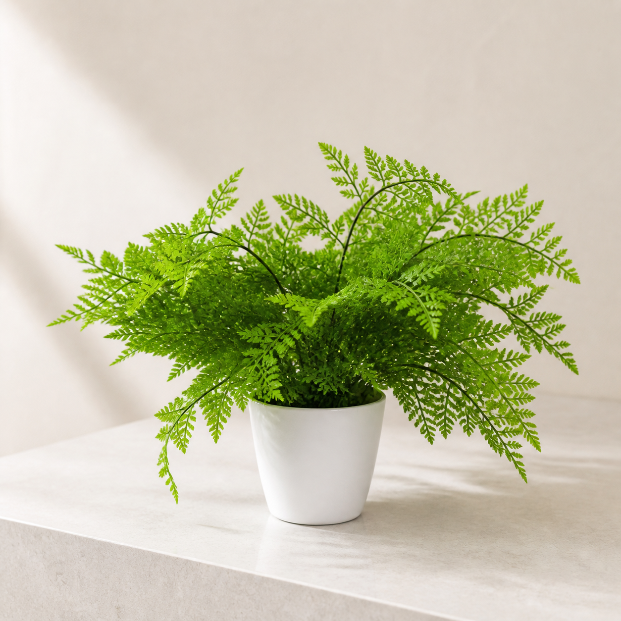 30cm Artificial Potted Southern Wood Fern