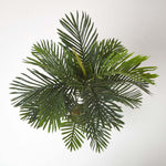 Areca Palm Tree In Pot | 120cm | Green