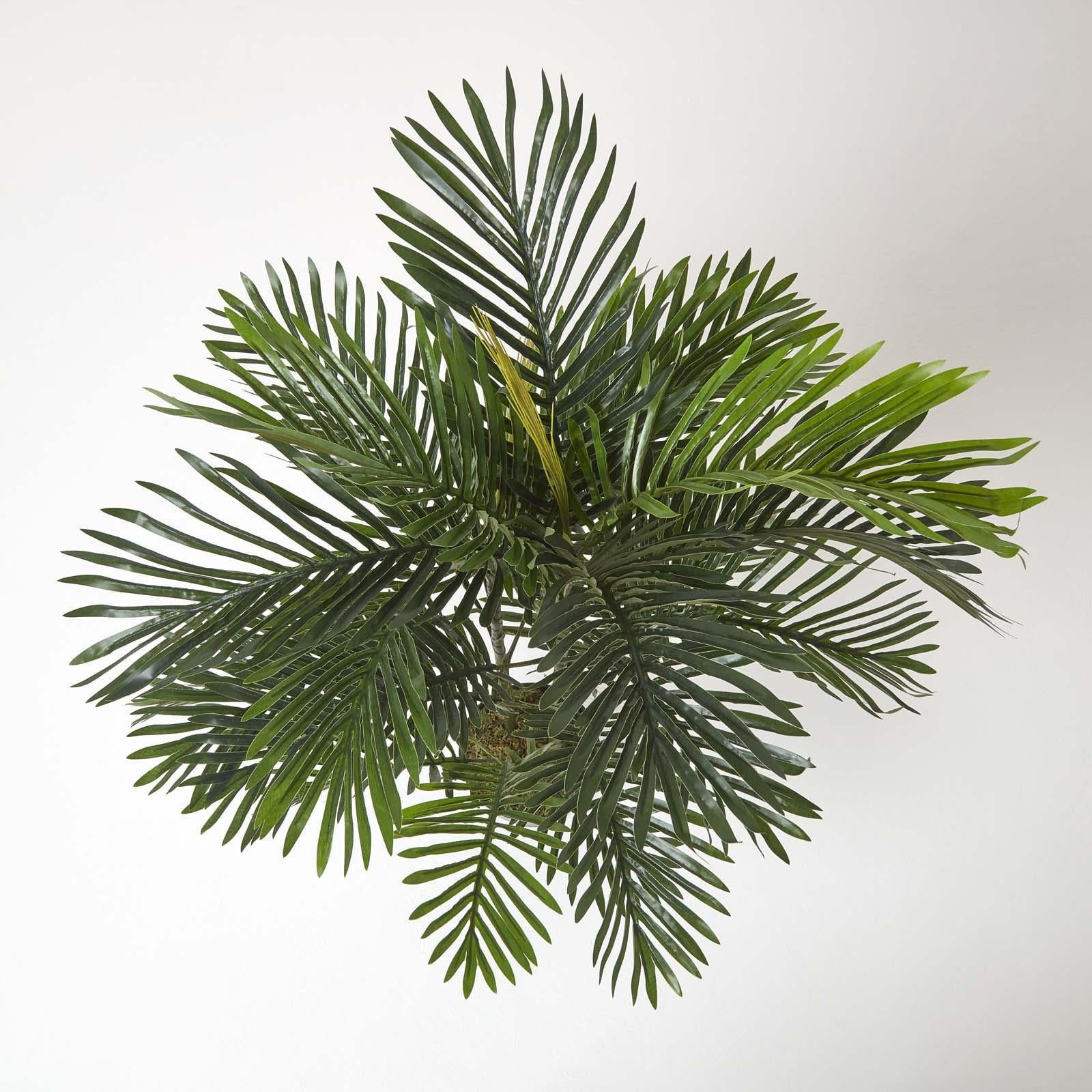 Areca Palm Tree In Pot | 120cm | Green
