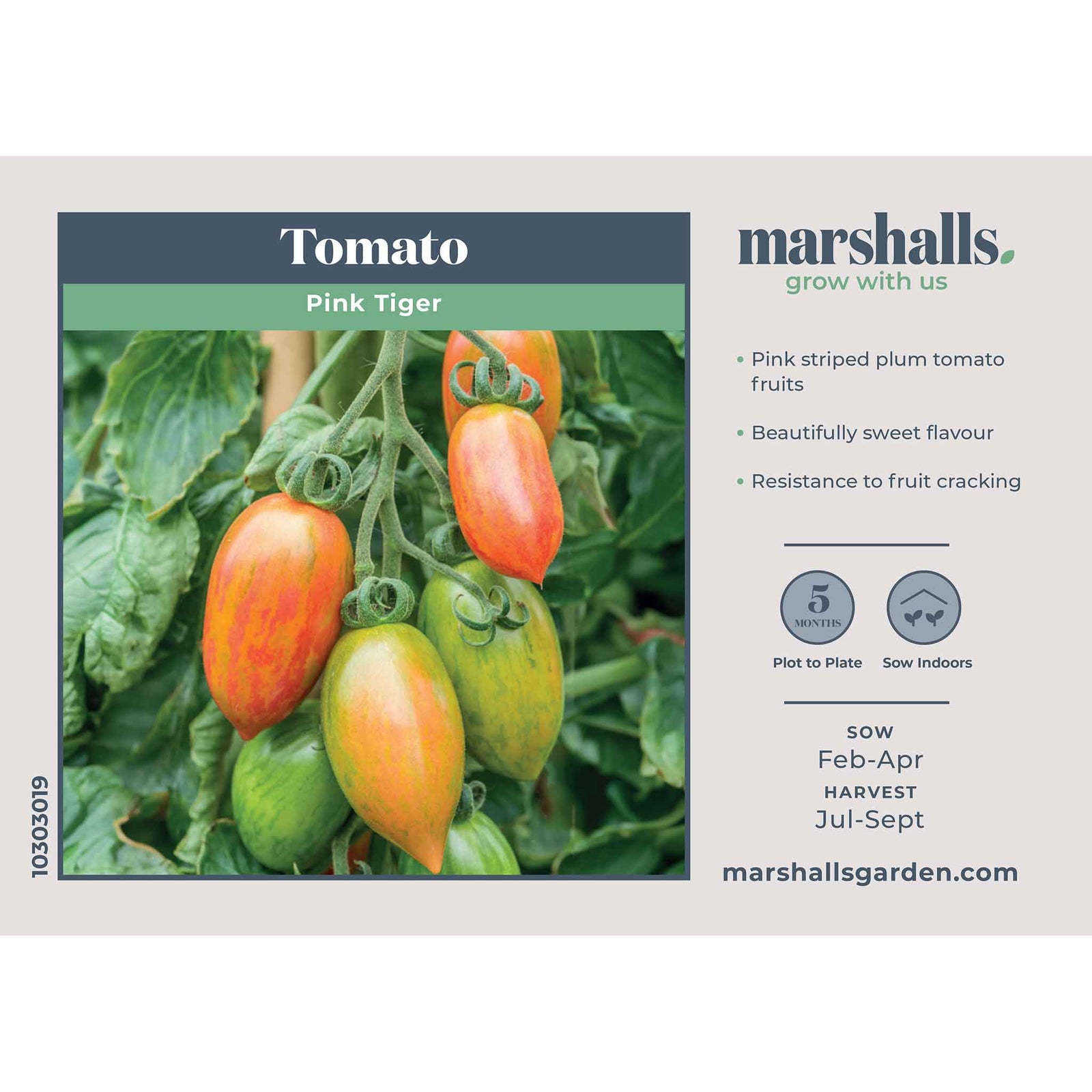 Pink Tiger Tomato — Striped Plum Tomatoes Seeds | 10 Seeds