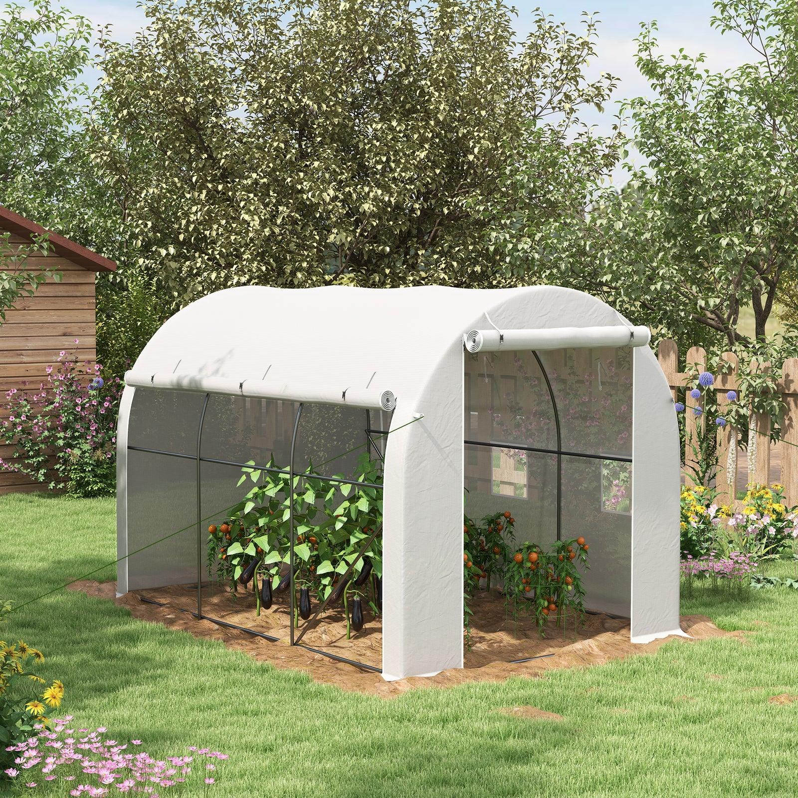3x2m Polytunnel Greenhouse W/ Roll-up Door & Windows