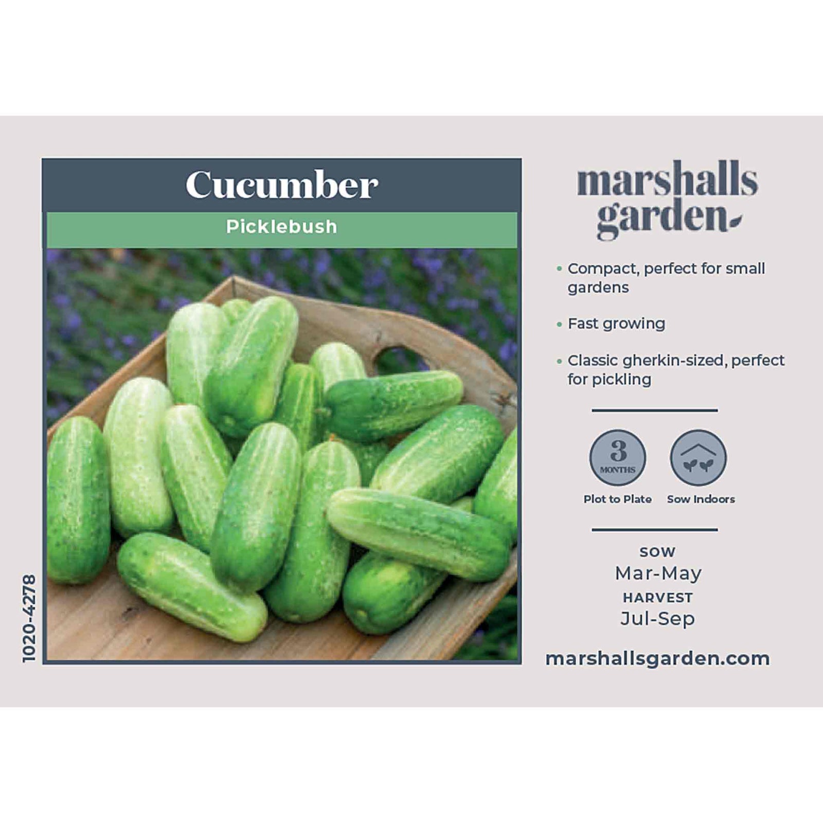 Picklebush Cucumber | 15 Seeds