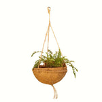 25cm Hanging Baskets Pack Of 2