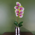 Artificial 46cm Orchid Harlequin Pink With Silver Pot