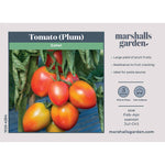 Tomato Sahel Seeds | 10 Seeds