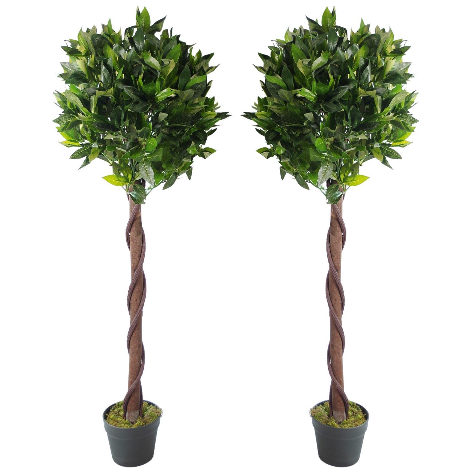 Pair Of 120cm Twisted Trunk Artificial Topiary Bay Laurel Ball Trees