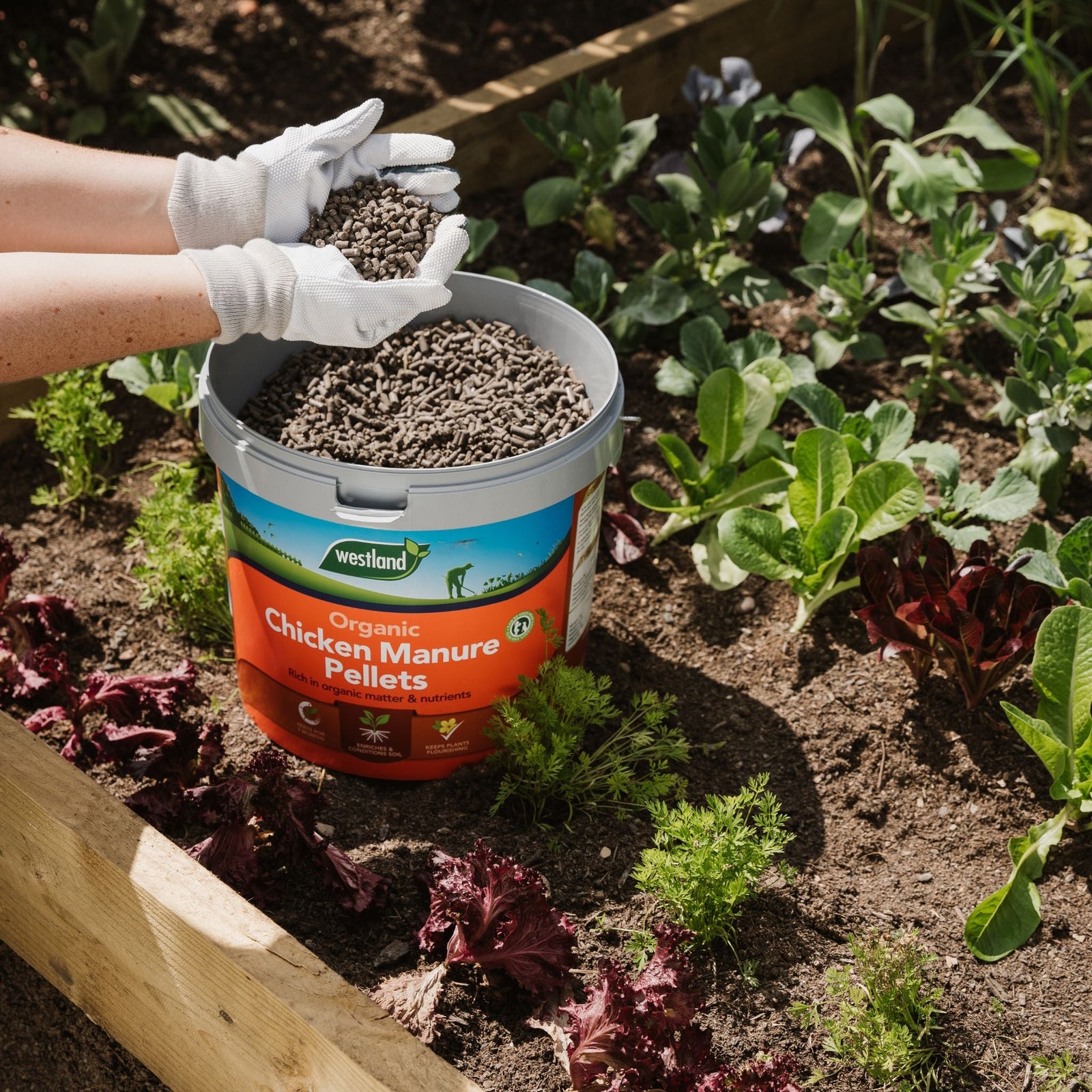 Organic Chicken Manure Pellets Bucket Keeps Your Plants Flourishing,8kg | 8kg | Orange