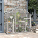 6x2.5ft Aluminium Polycarbonate Greenhouse | Silver