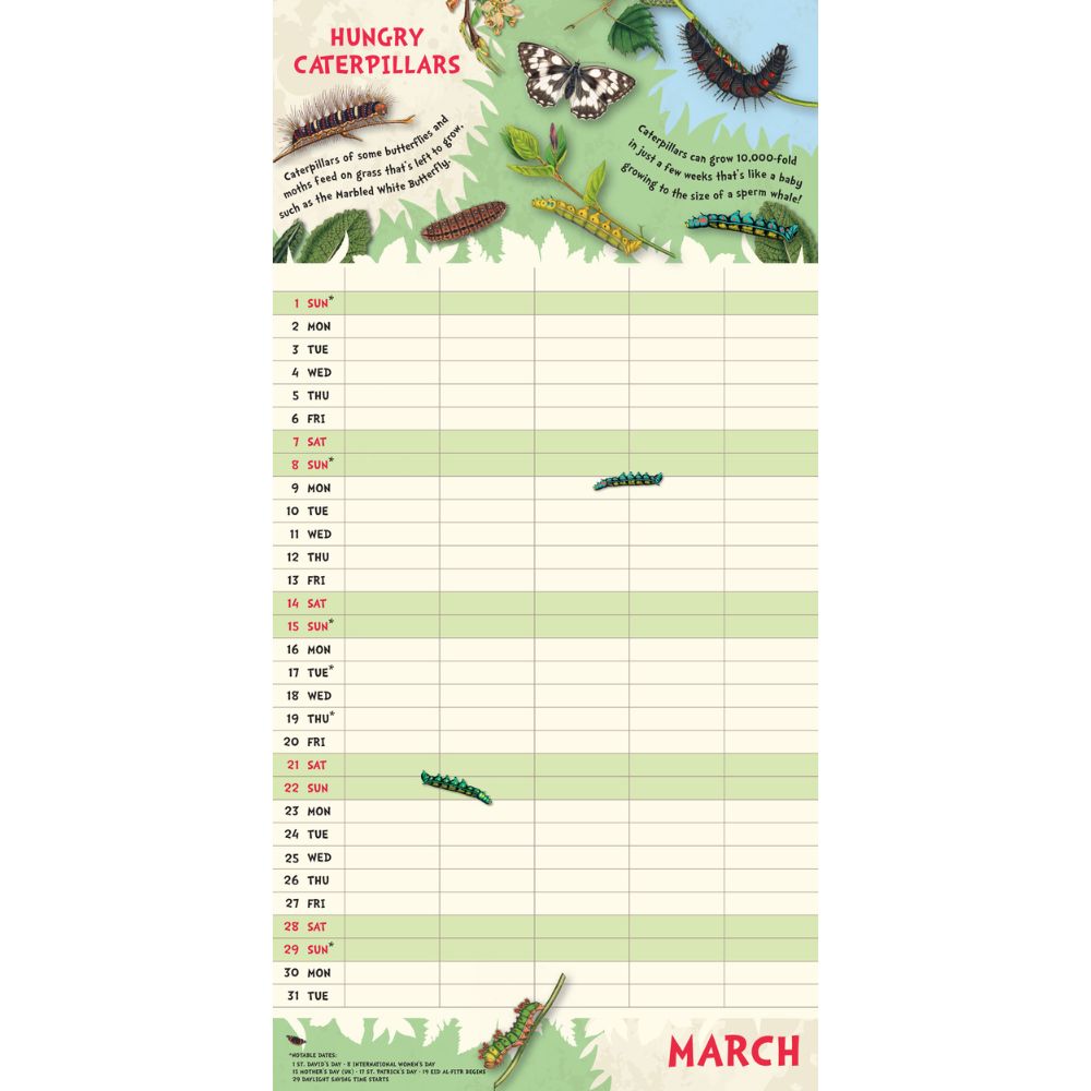 2026 Family Organiser Calendar (with Pocket And Stickers) Official Product