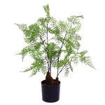 Artificial 60cm Natural Moss Base Fern Foliage Plant