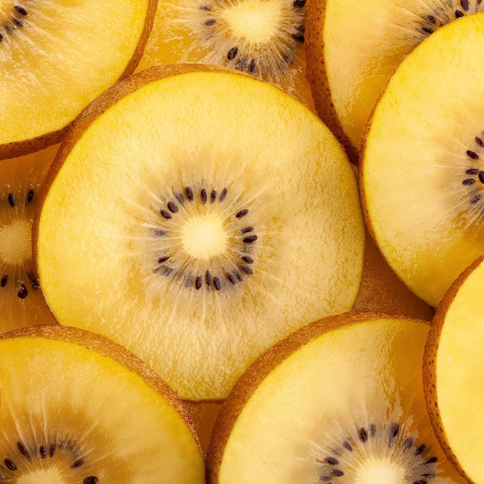 Golden Kiwi Plant (actinidia Chinensis) | 1 x 2L | Gold
