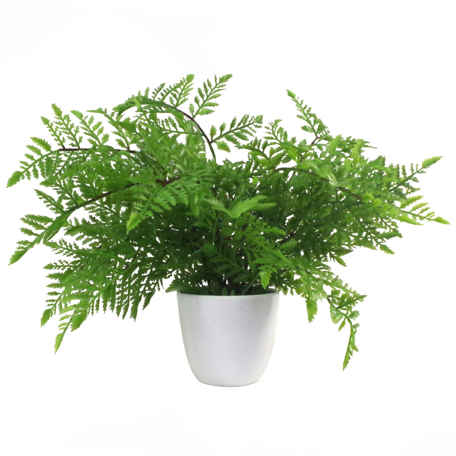 Artificial Potted Southern Wood Fern 30cm