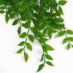 6 X 100cm Artificial Hanging String Of Pearls Fern Plant Light Green