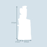 Slow Masticating Juicer