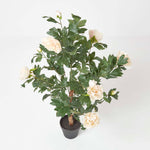 Artificial Peony Tree In Black Pot, 100 Cm Tall | 100cm | Orange