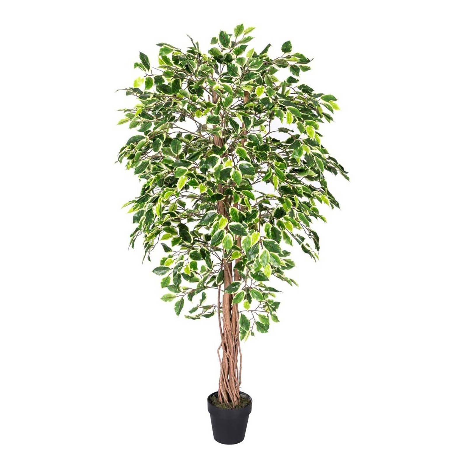 Artificial Handcrafted Ficus Tree With Real Wood Trunk | 6ft | Multi Colour