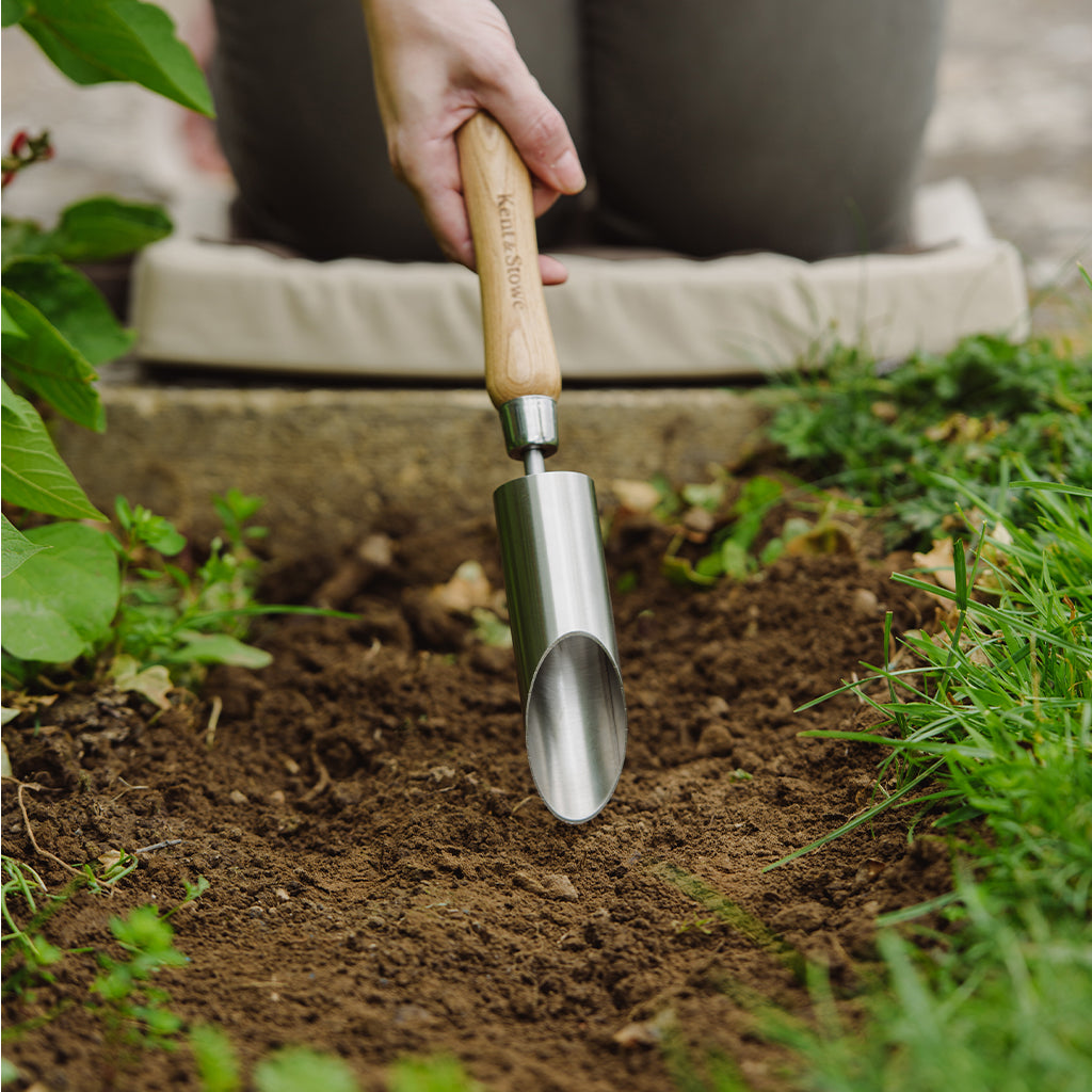 Stainless Steel Small Bulb Planter With Ash Handle | Small
