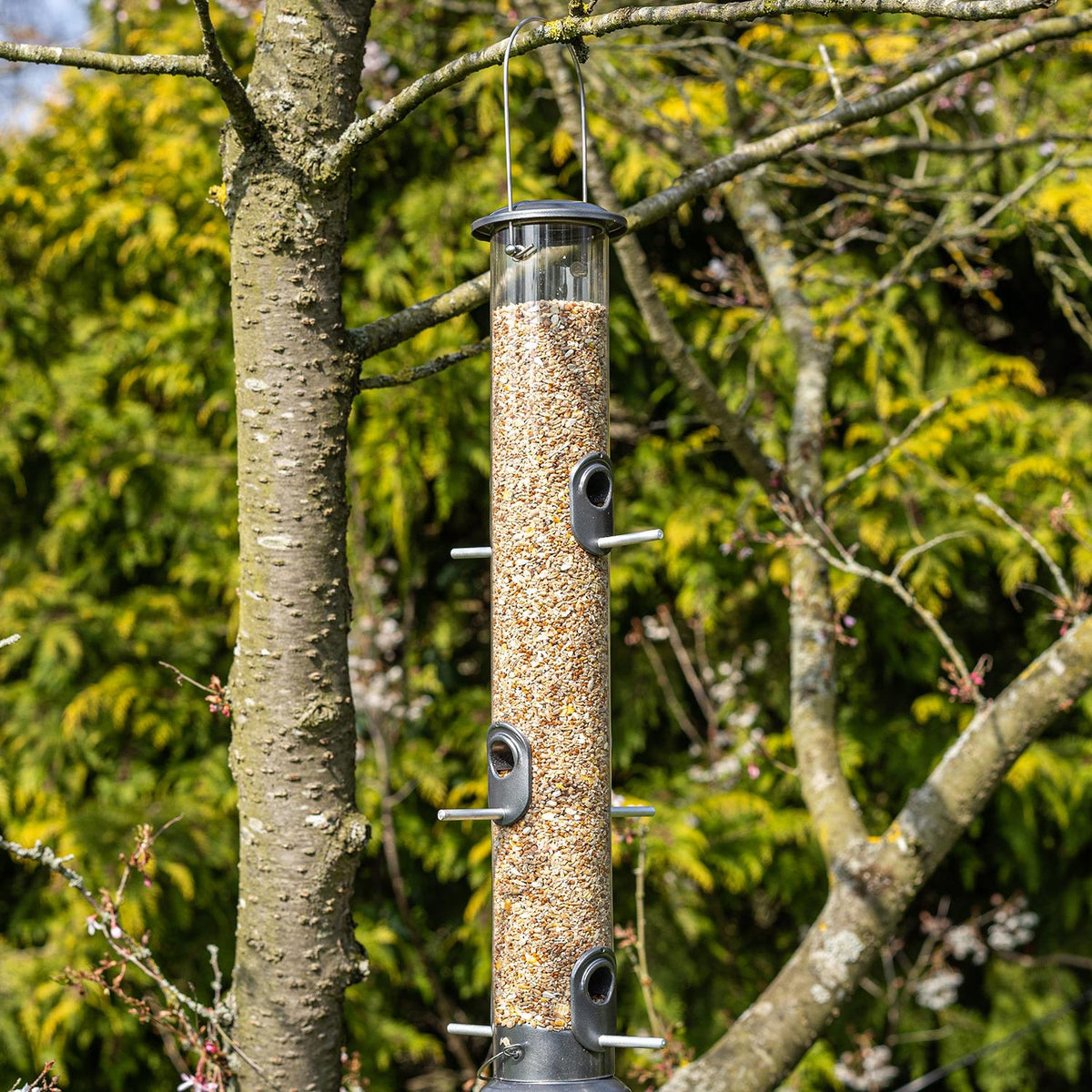 All Weather Premium Giant 6 Port Wild Bird Seed Feeder, 700g Capacity | Set of 1 | Grey