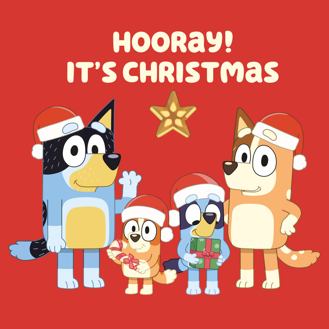 Christmas Card Multipack Official Product