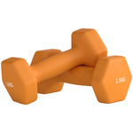 Set Of 2 Hexagonal Dumbbells Weights Pair | Small | Orange