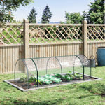 Transparent Pvc Tunnel Greenhouse 250x100x80cm