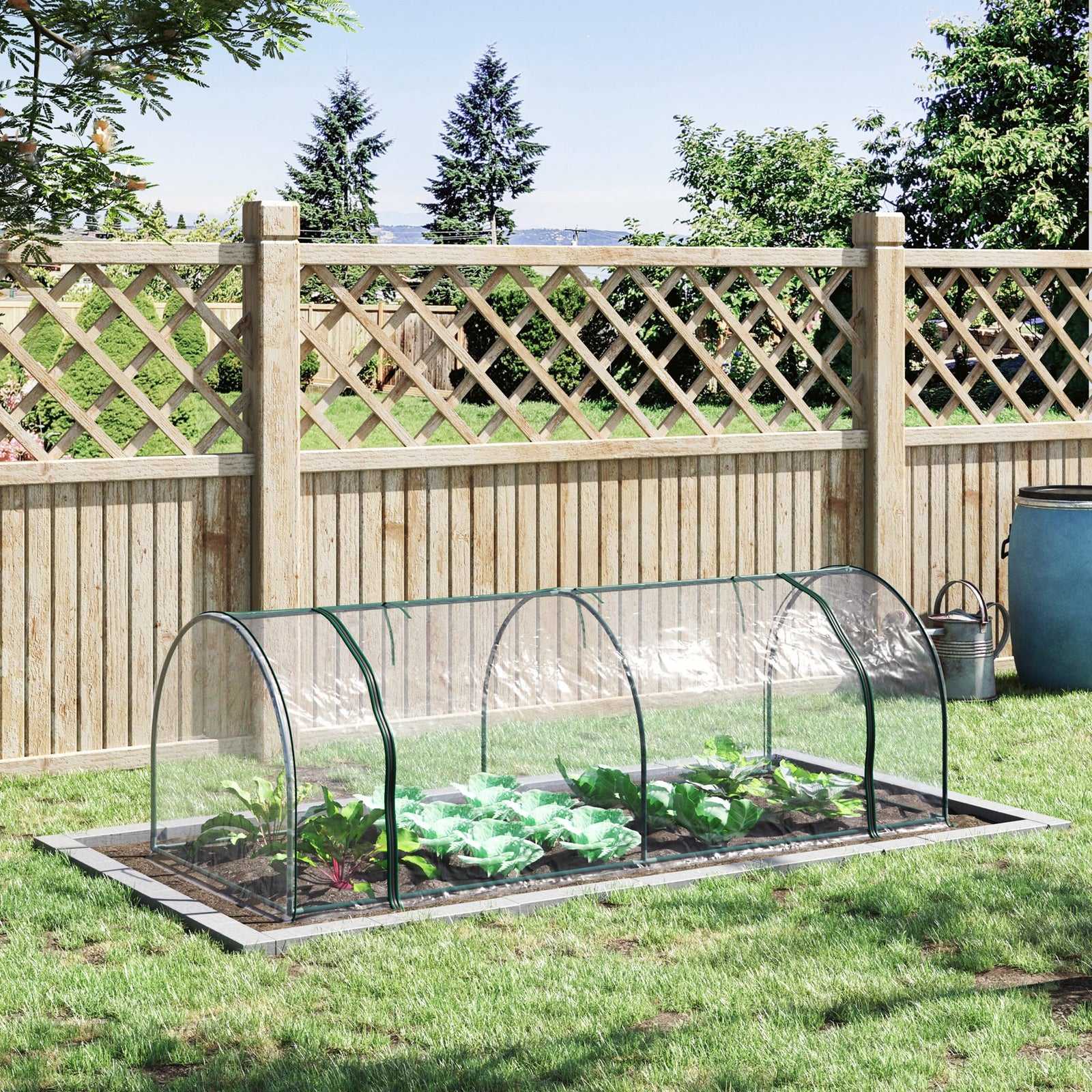 Transparent Pvc Tunnel Greenhouse 250x100x80cm