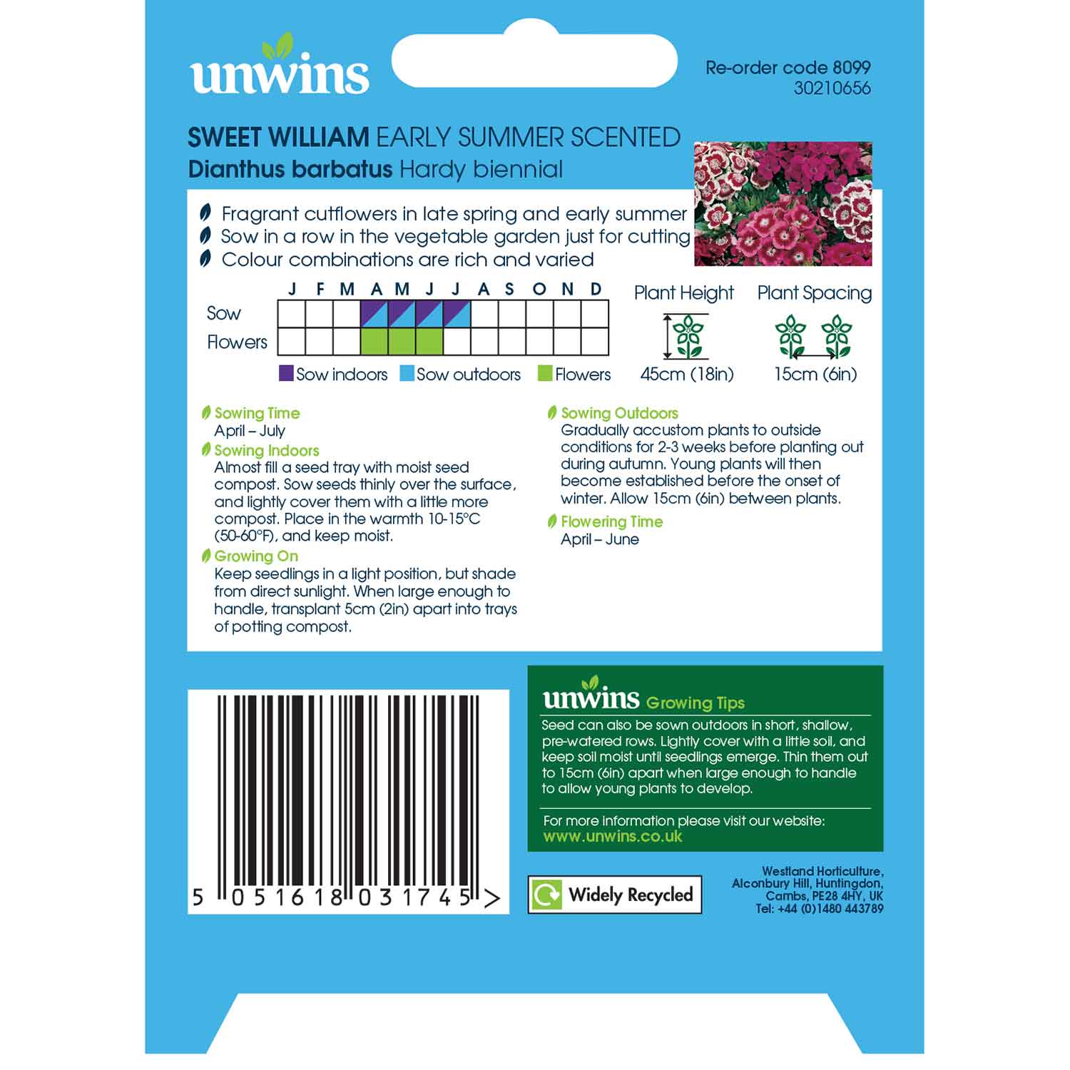 Sweet William 'early Summer Scented' Seeds | 400 Seeds