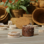 Coircoins 42mm Pack Of 50