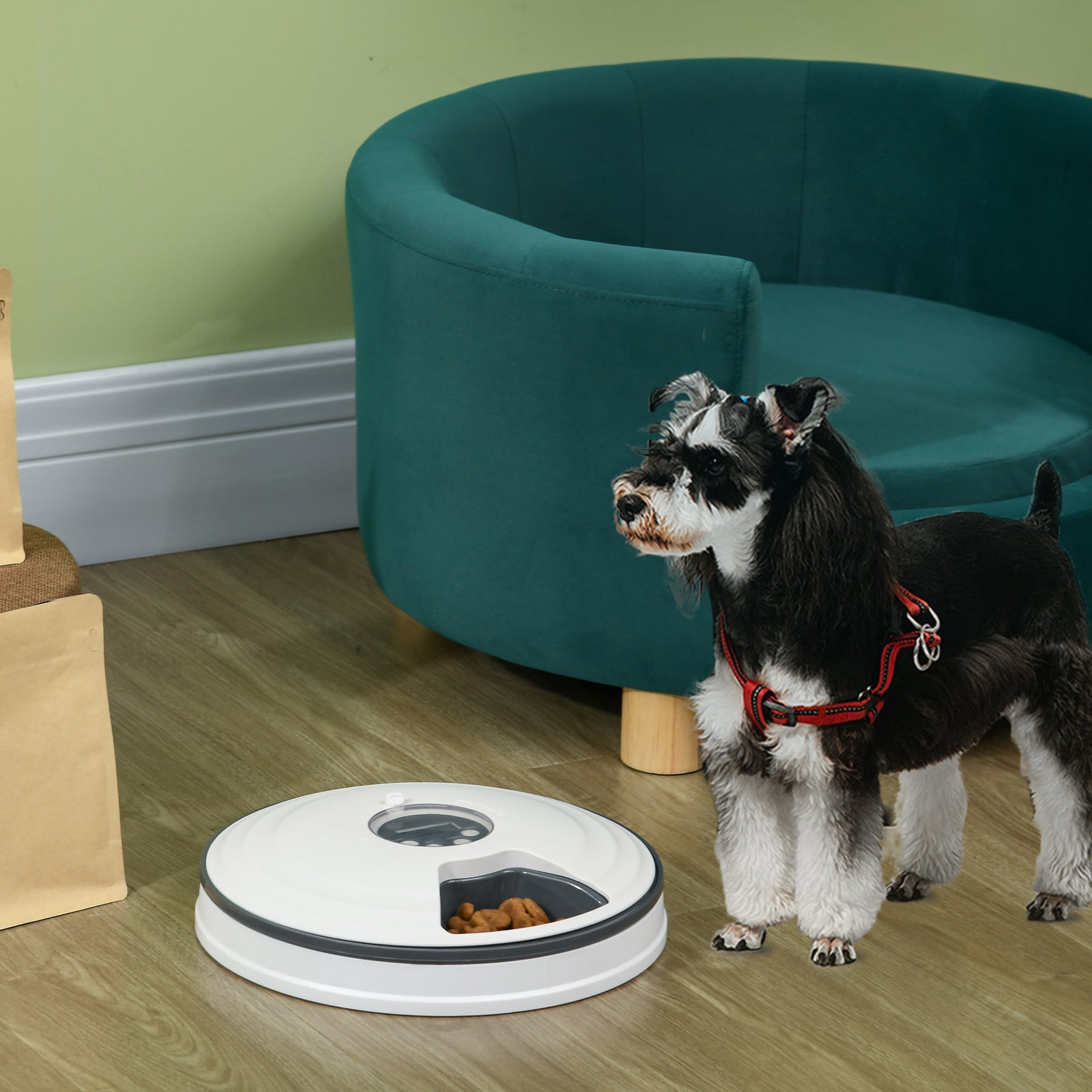 Pet Feeder W/ Digital Timer Six-meal Food Dispenser Trays White