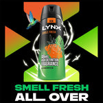 Body Spray Jungle Fresh 48h High Definition Fragrance Deodorant 150ml | Set of 24
