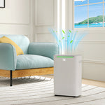 20l Per Day Dehumidifier For Home Damp With 24h Timer