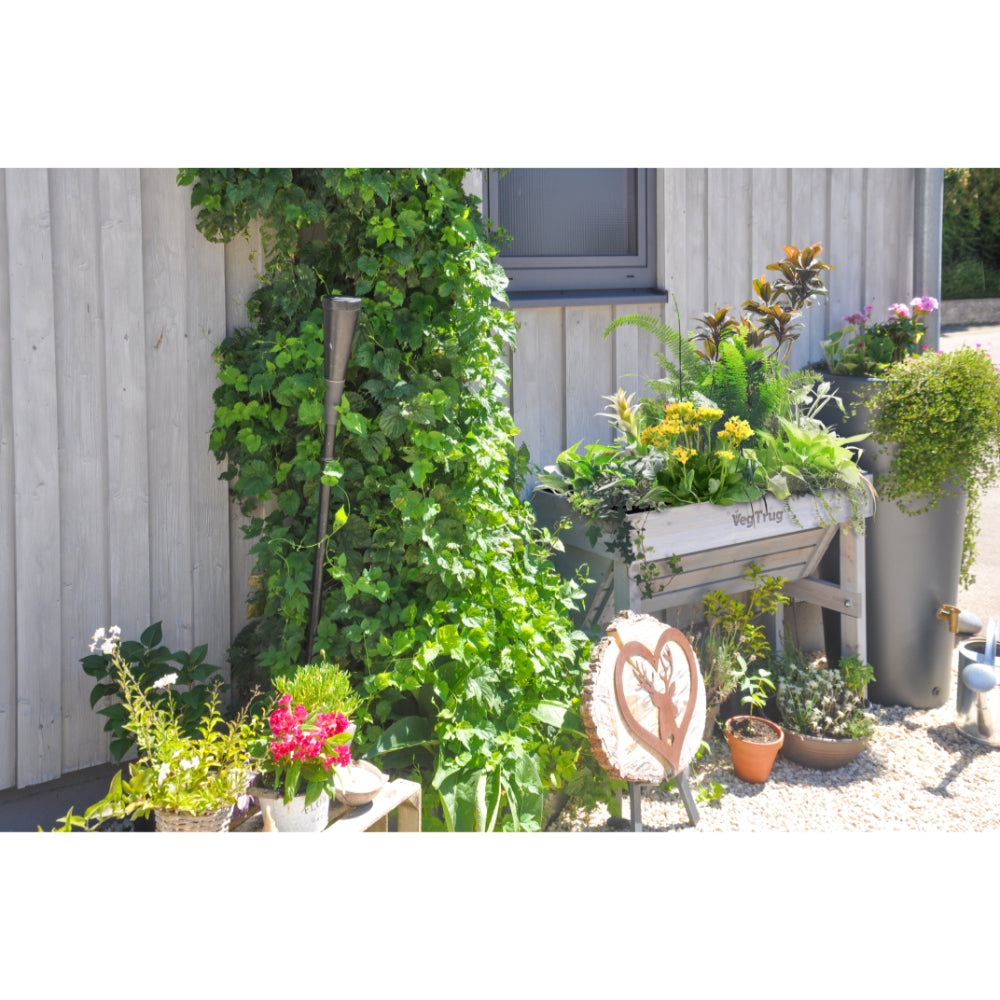 Raised Wooden Planter -Small Wall Hugger | Gray